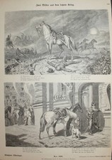 Cavallo Cavalli Im Krieg