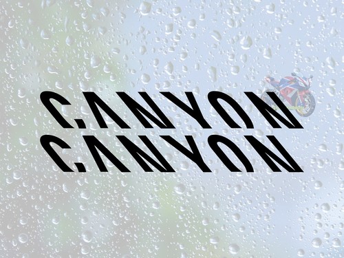 Adesivi bici canyon vinile - adesivi,