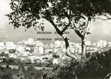 BATTIPAGLIA - COD.C102 -