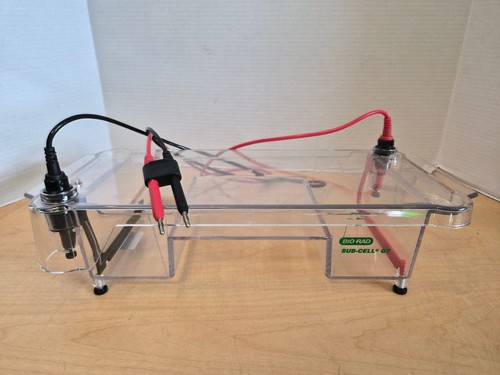 Bio rad sub cell basic - gt,