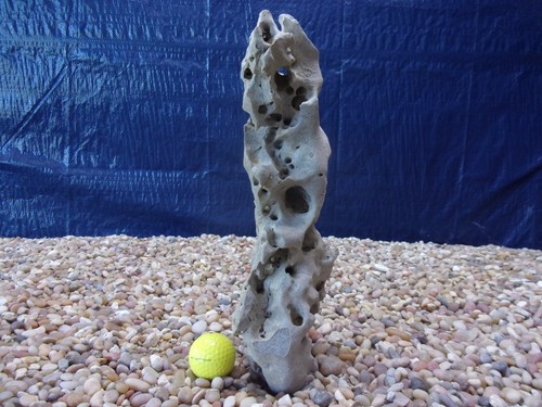 Texas holey rock - 07#,