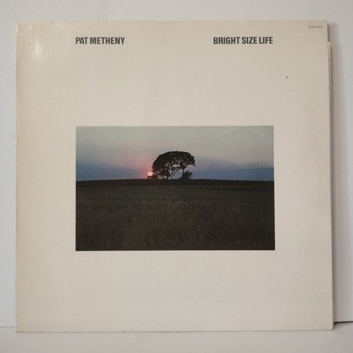 Pat metheny bright - metheny,