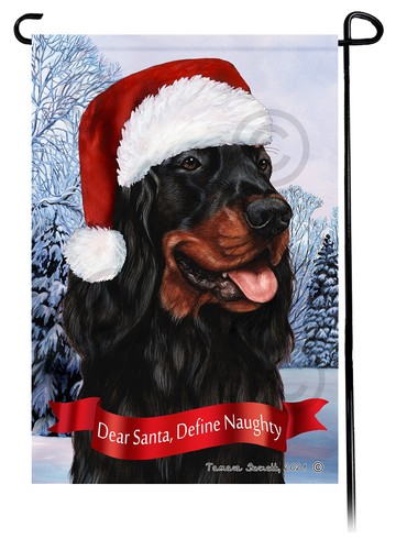 Gordon setter caro - gordon,