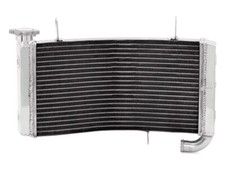 Radiatore acqua ducati - acqua, monster