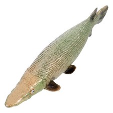  Pesce Finto Pesci Finti