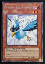 ALANERA BLIZZARD IL LONTANO NORD 1^ Ed. Rara in Inglese (EXC) RGBT-EN010 YUGIOH