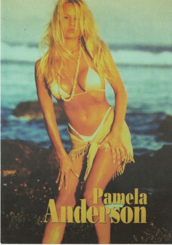 Pamela anderson cartolina - pamela,