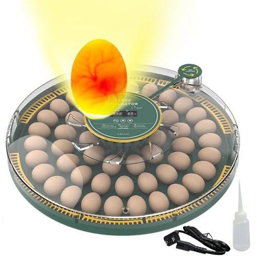 Incubatrice per uova hbn - incubatrice,