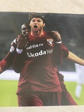 Foto cartonata Torino Rolando