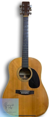 Chitarra acustica suzuki 250 - chitarra,