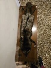 collo pelliccia Vintage Visone Argentato