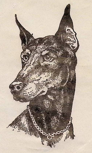 1982 nos doberman pinscher - 1982,