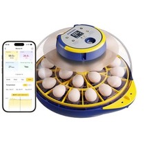 21 Incubatrice per Uova, App