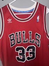 Adidas Scottie Pippen Chicago