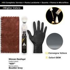 Vernice di ritocco per Nissan