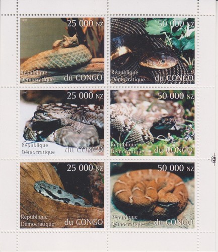 Serpenti congo mnh - mnh, 8848