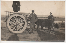 PRIMA GUERRA MONDIALE - CARRO TRAINATO DA BUOI CON SOLDATO E INDIGENI #50