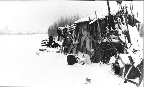 Foto autore senza titolo - foto,