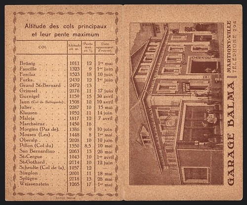 Scheda rappresentante - scheda,