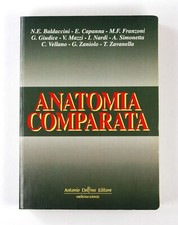 Anatomia comparata - anatomia, n