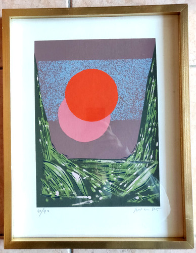 Litografia colori numerata - litografia,