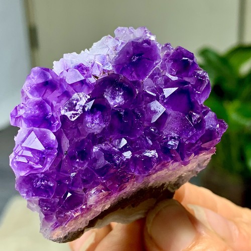 83g ametista naturale geode - 83g,