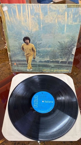 Disco vinile giri riccardo - 33,