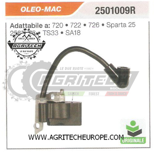 2501009r bobina elettronica - 2501009r,
