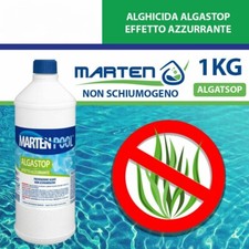 Antialghe Alghicida Per Piscina Schiarente Liquido Per Skimmer 1 Kg Marten Pool