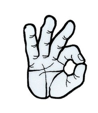 Patch toppe toppa ricamate