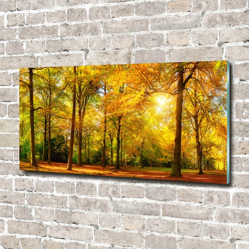 Quadro vetro quadri - quadro, da