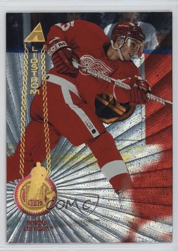 1994 pinnacle rink - 1994-95,