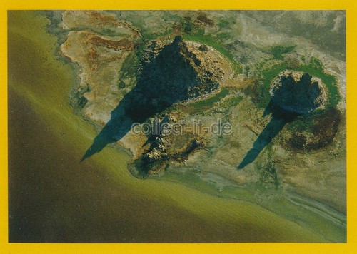 Panini national geographic - national,