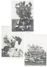 CAZZANIGA GIANCARLO  "tre