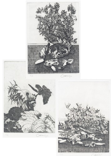 Cazzaniga giancarlo tre - giancarlo, "tre