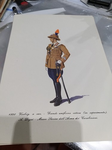 Stampa carabinieri vice brig - vice,