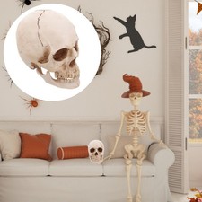  Decorazione Teschio