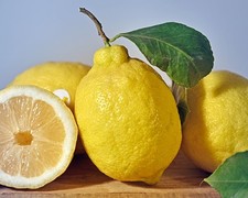 Limoni della costiera non - della,