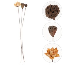  1 set loto essiccato con