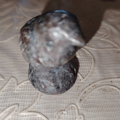 Collezione animali pietra - collezione,
