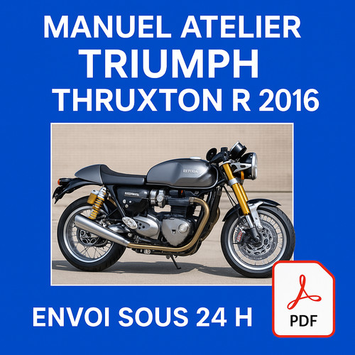 Manuel atelier triumph - atelier,