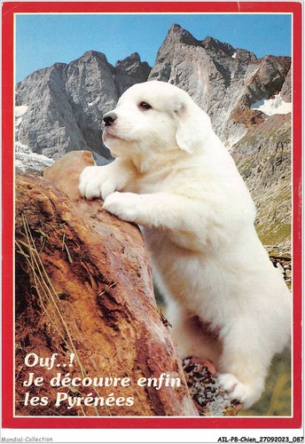 Ailp8 0756 cane dei - ailp8-0756,