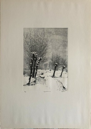 Agostino zaliani acquaforte - agostino,