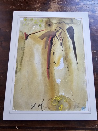 Salvador dali litografia - salvador,