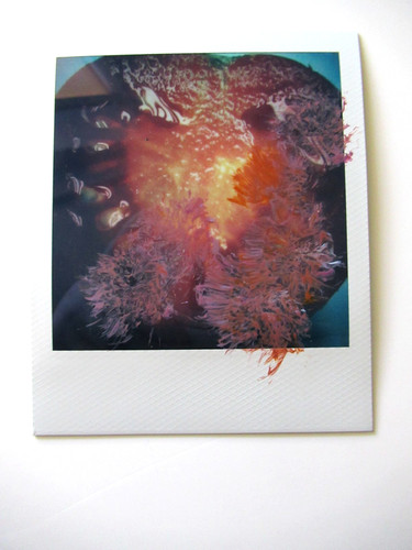 Araki polaroid originale - araki:,