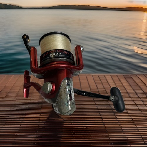 Mulinello spinning daiwa - spinning,
