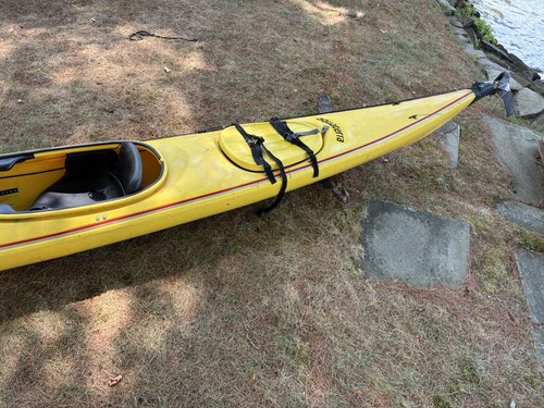Aquaterra sea lion - aquaterra, kayak