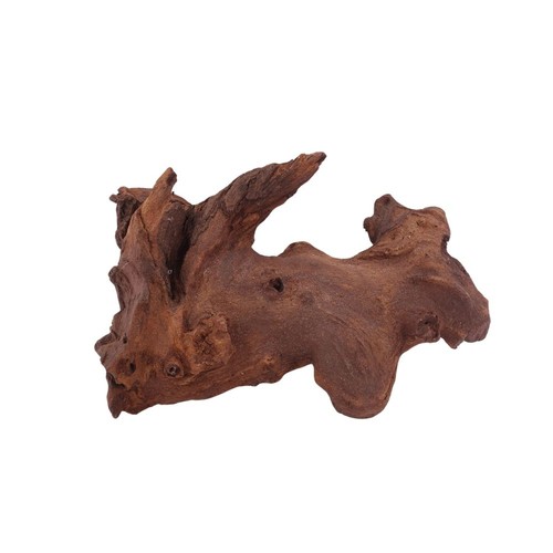 Decorazione radice acquario - decorazione, di