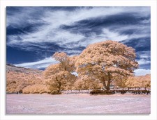 Fotocamera IR infrarossi a