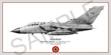 Panavia Tornado Squadron Print